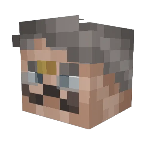 NePaladin_ Minecraft avatar head, 3D render