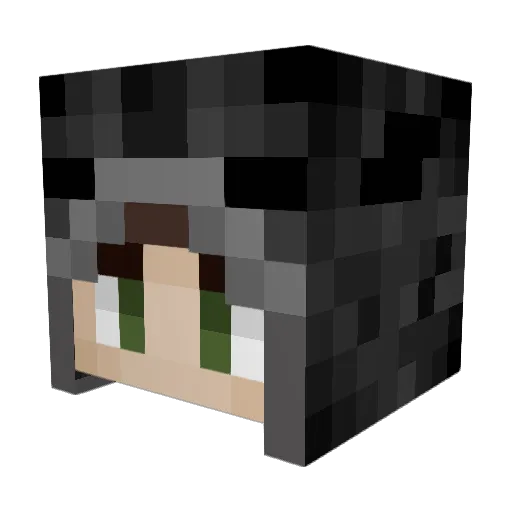 NeTTeH Minecraft avatar head, 3D render