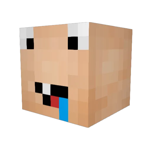NeWxTh Minecraft avatar head, 3D render
