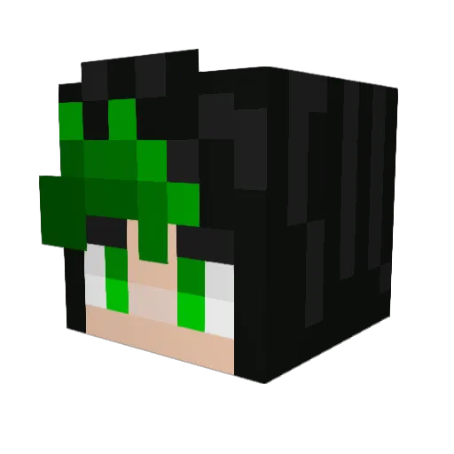 NeXUs1769 Minecraft avatar head, 3D render