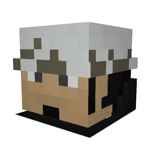 NeZzQuickZz Minecraft avatar head, 3D render