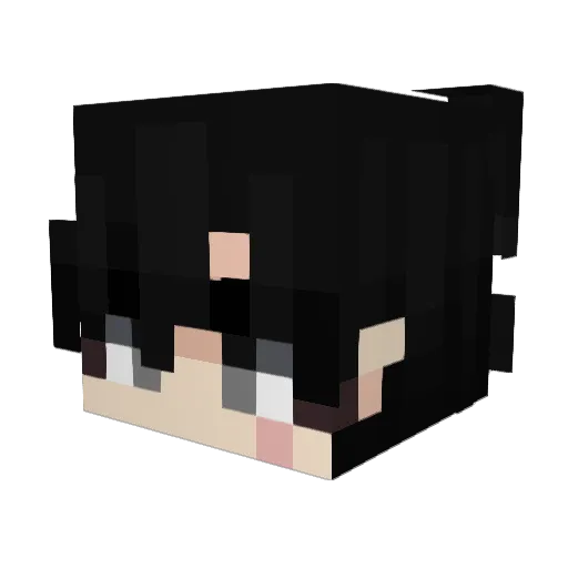 Ne_ther Minecraft avatar head, 3D render