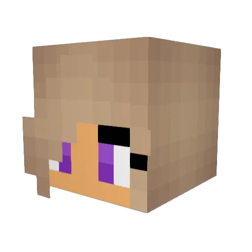 NeaBean19 Minecraft avatar head, 3D render