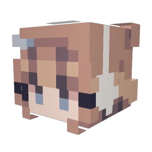NeaN07 Minecraft avatar head, 3D render