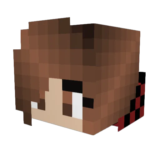 Neal360 Minecraft avatar head, 3D render