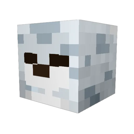 NealDoesntYT Minecraft avatar head, 3D render
