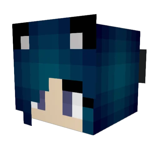 Nealler Minecraft avatar head, 3D render
