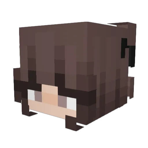 Neamx Minecraft avatar head, 3D render