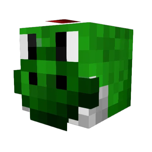 Neander25 Minecraft avatar head, 3D render