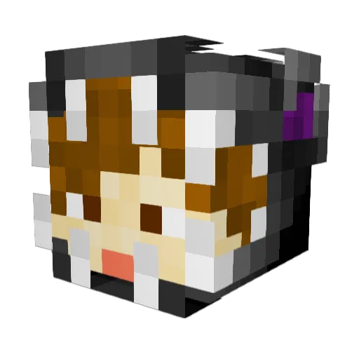 Neapolis_ Minecraft avatar head, 3D render