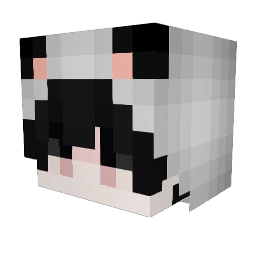 NearSkill Minecraft avatar head, 3D render