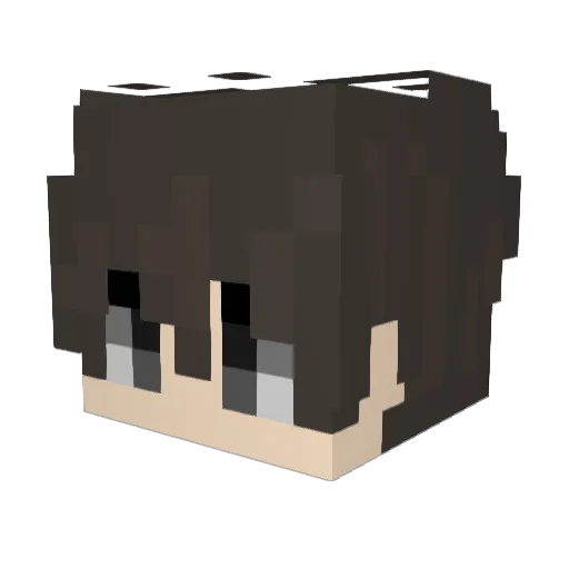 NearTeam Minecraft avatar head, 3D render