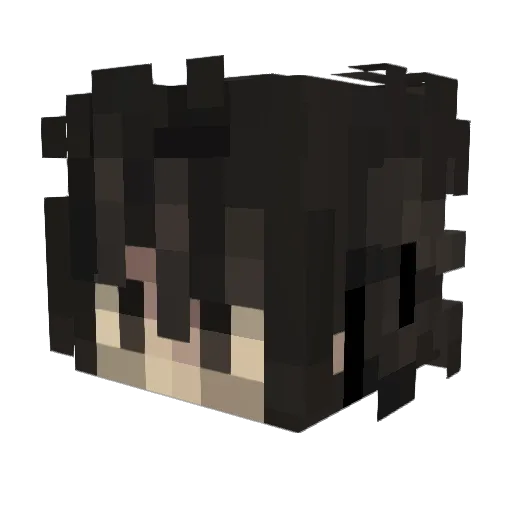 NearWon Minecraft avatar head, 3D render