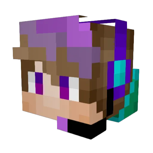 NearbyPoopDealer Minecraft avatar head, 3D render