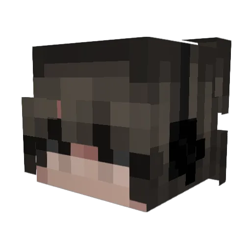 Nearbyte Minecraft avatar head, 3D render