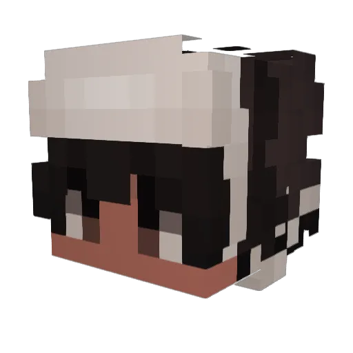 Neautan Minecraft avatar head, 3D render