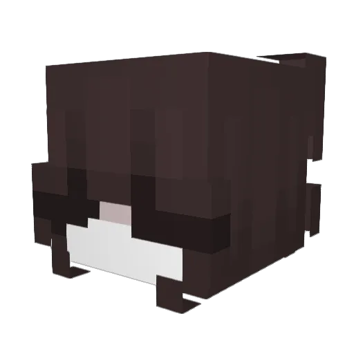 Neaxa Minecraft avatar head, 3D render
