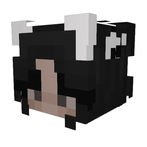 Nebber01 Minecraft avatar head, 3D render