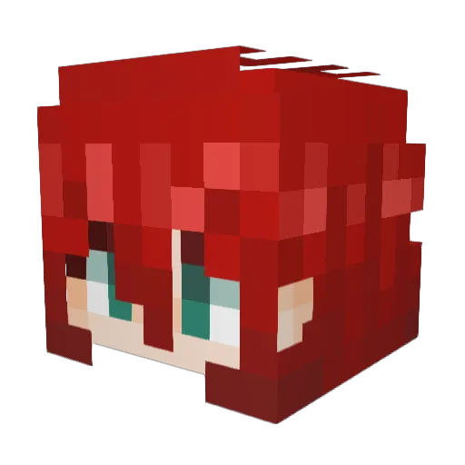 Nebby_Webby_ Minecraft avatar head, 3D render