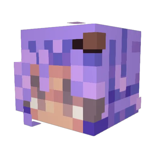 NebderPleb Minecraft avatar head, 3D render