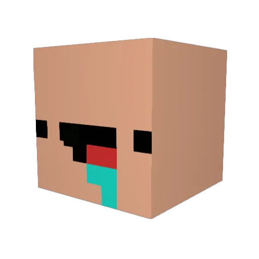 NebelNiceru Minecraft avatar head, 3D render