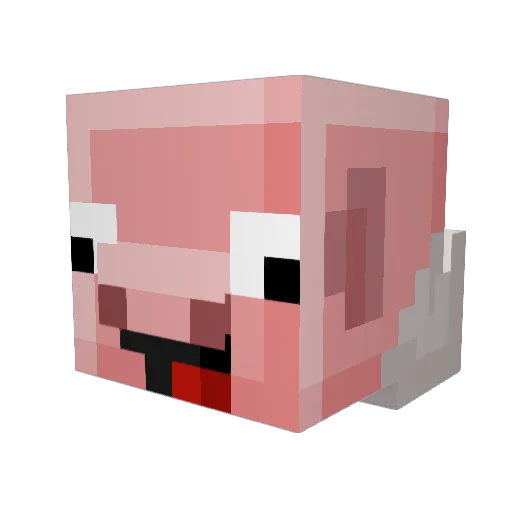 NebelSchwein Minecraft avatar head, 3D render