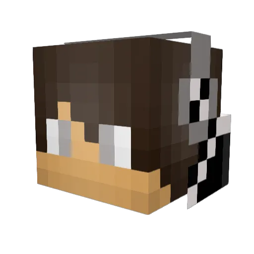 NebelSilver Minecraft avatar head, 3D render
