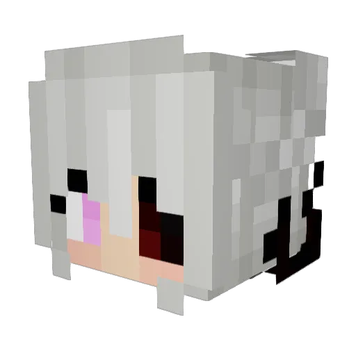 Nebelglanz Minecraft avatar head, 3D render