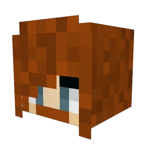 Nebelline Minecraft avatar head, 3D render