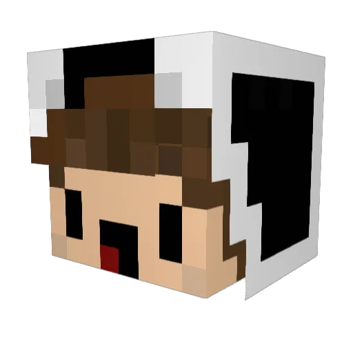 Nebnebnebnebneb Minecraft avatar head, 3D render