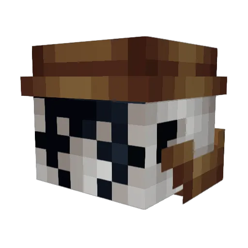 Nebrazkae Minecraft avatar head, 3D render