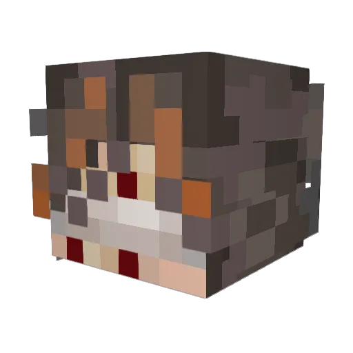 Nebula0360 Minecraft avatar head, 3D render
