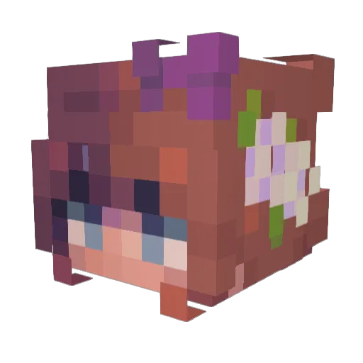 Nebulae_1 Minecraft avatar head, 3D render