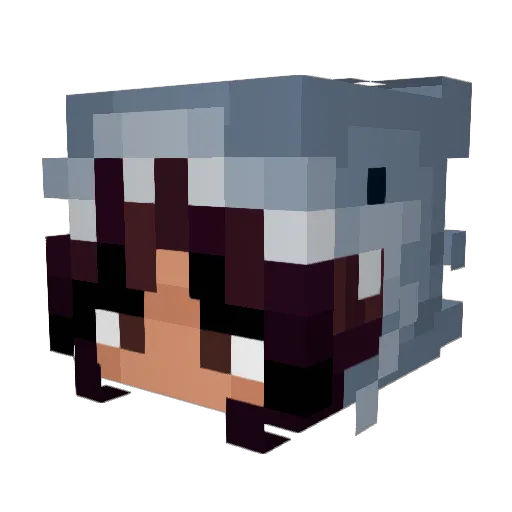 Nebulous6696 Minecraft avatar head, 3D render