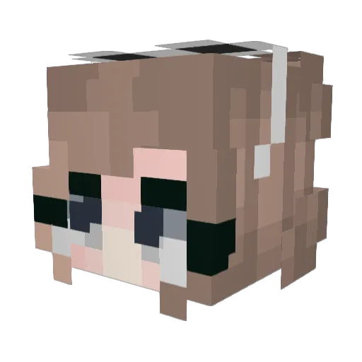 Nebyr Minecraft avatar head, 3D render