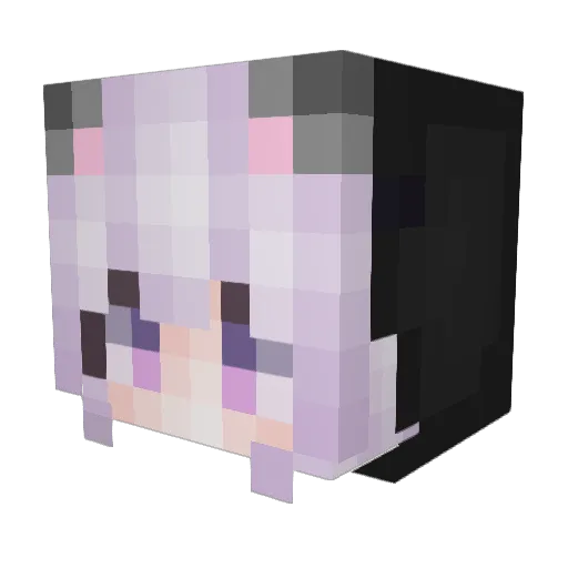 Neckless1204 Minecraft avatar head, 3D render