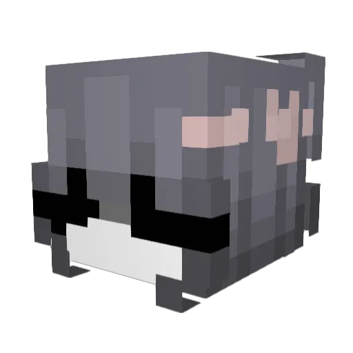 Neco_Chaos_ Minecraft avatar head, 3D render