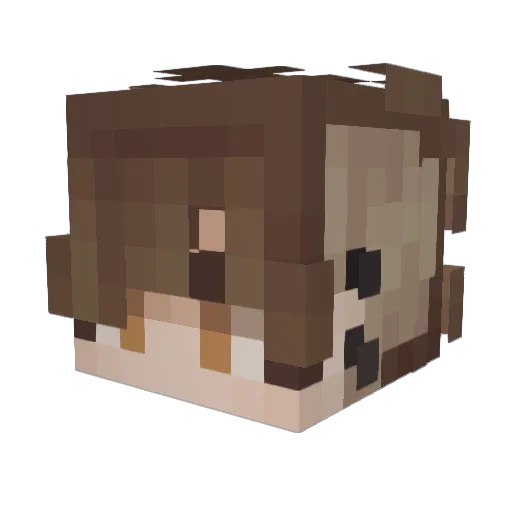 Necr0mant1c Minecraft avatar head, 3D render