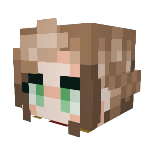 NecroT13375 Minecraft avatar head, 3D render