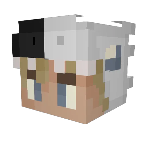 Necro_manser Minecraft avatar head, 3D render