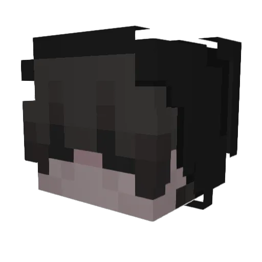 Necrobob88 Minecraft avatar head, 3D render
