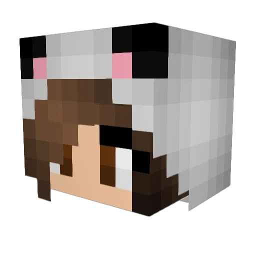 Necrocane Minecraft avatar head, 3D render