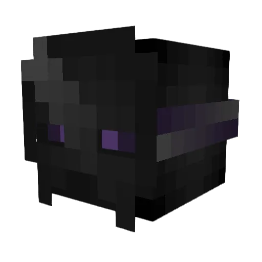 Necromage1 Minecraft avatar head, 3D render