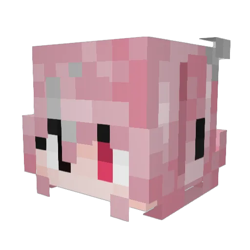 Necromancer9291 Minecraft avatar head, 3D render