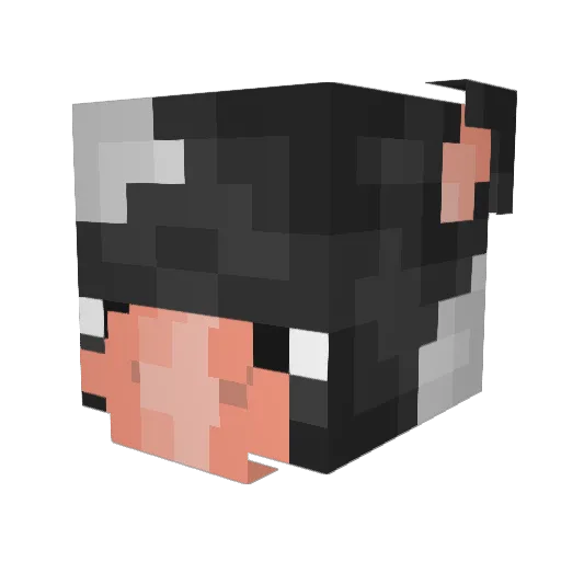 NecronStick1 Minecraft avatar head, 3D render