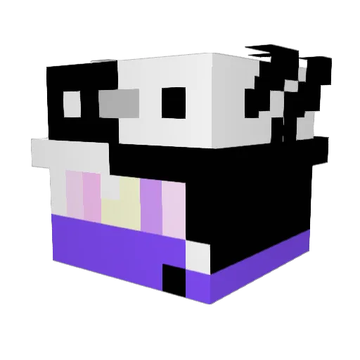 Necron_Shard Minecraft avatar head, 3D render