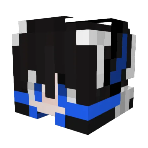 Necron_fn Minecraft avatar head, 3D render