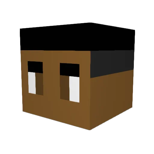 Necros263 Minecraft avatar head, 3D render