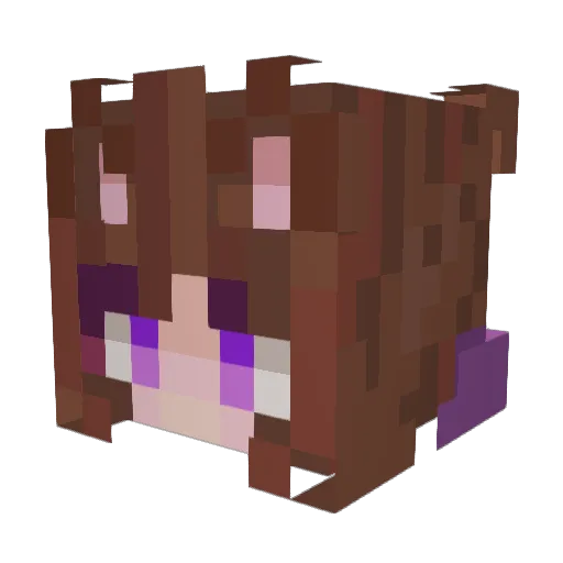 Necrosisms Minecraft avatar head, 3D render