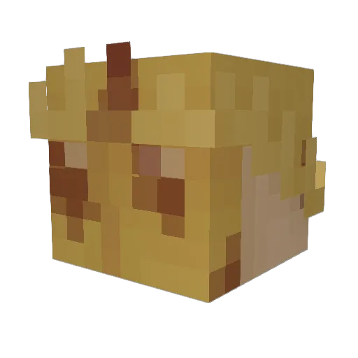 Necrowx Minecraft avatar head, 3D render